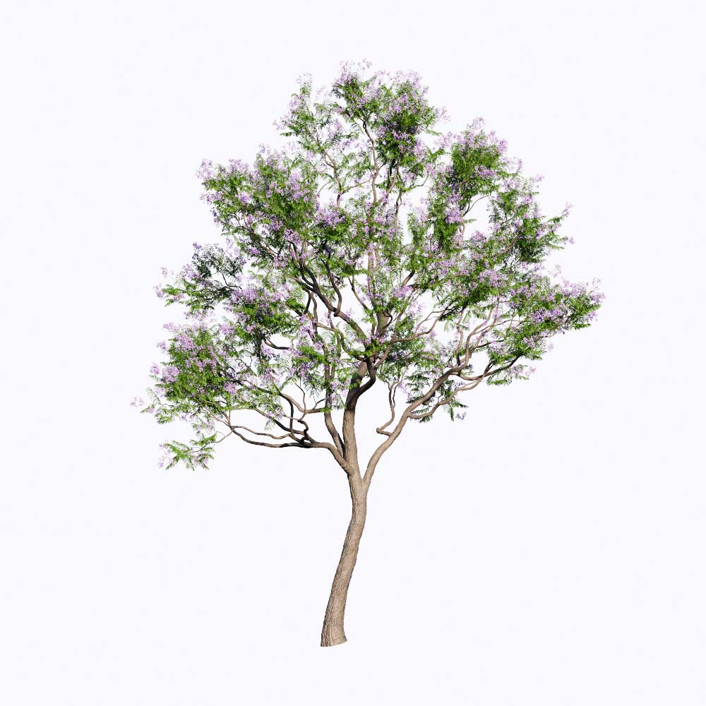 PLT61. Tree-Enscape Asset Free Download - Free 3D Models