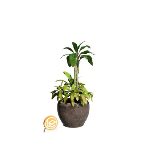 Free Enscape Custom Asset-Flower Vase