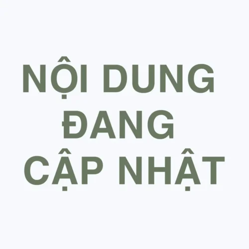 NOI DUNG DANG CAP NHAT Free Enscape Custom Asset