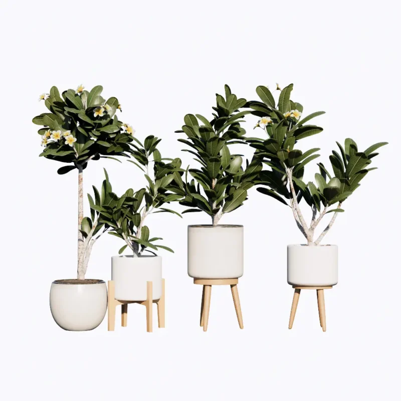 PLD111-Cay Hoa Su Decor Free Enscape Custom Asset