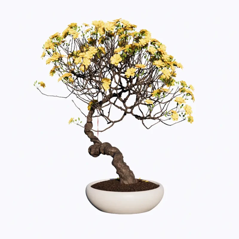 PLD61-Cay Mai Decor FLD61. Chau Mai Decor-Enscape Asset Free Download