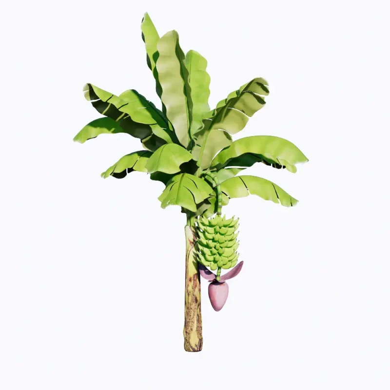 PLD71-Banana Decor Free Enscape Custom Asset