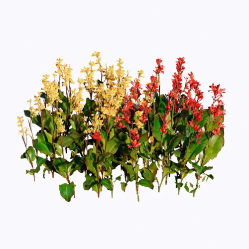 PLF71-Dong Rieng (3) Free Enscape Custom Asset