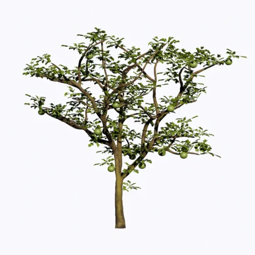 Free Enscape Custom Asset