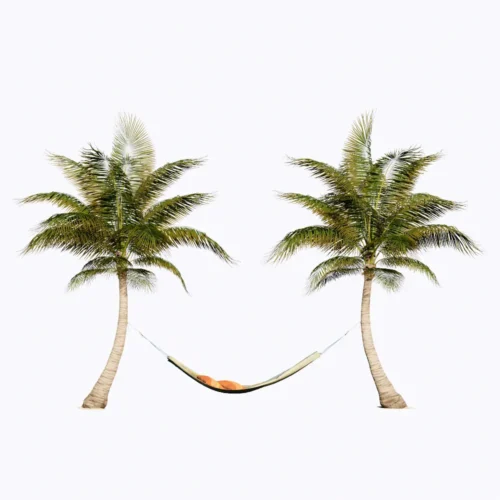 Free Enscape Custom Asset