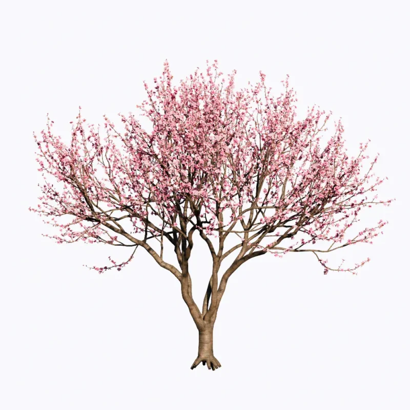 PLT211-Leo Asset-Hoa Dao Tet Free Enscape Custom Asset