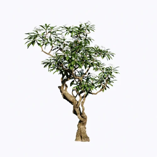 Free Enscape Custom Asset