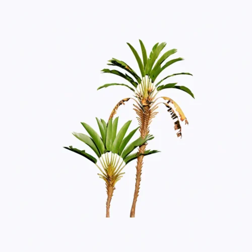 Free Enscape Custom Asset