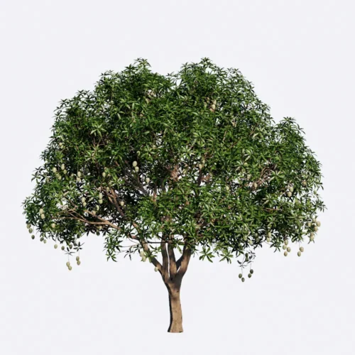 Free Enscape Custom Asset