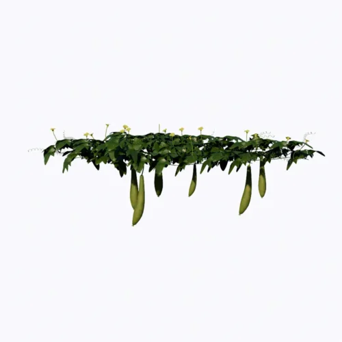 Free Enscape Custom Asset